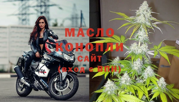spice Ельня