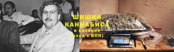 spice Ельня
