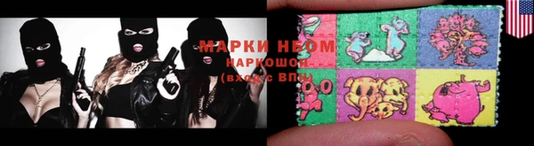spice Ельня