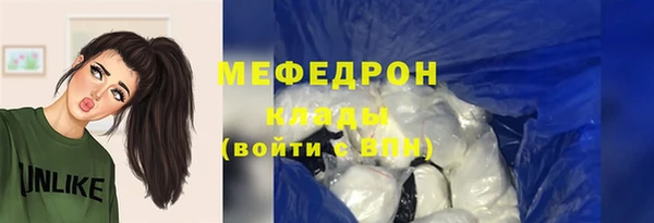 spice Ельня