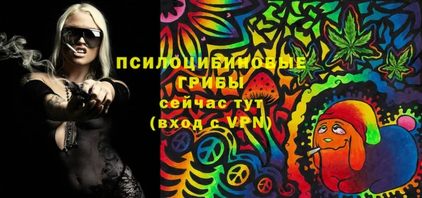 spice Ельня