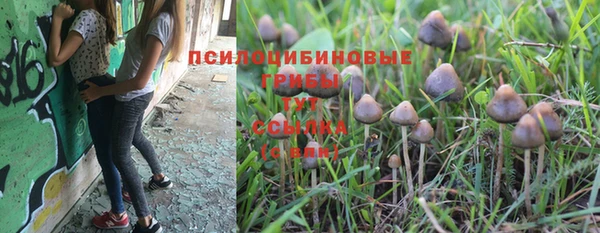 гашиш Елизово