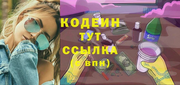 spice Ельня